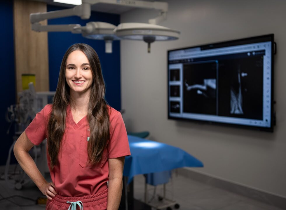 Pet Surgery In Kanata, Ontario, K2V 0H2 Capital City Specialty And