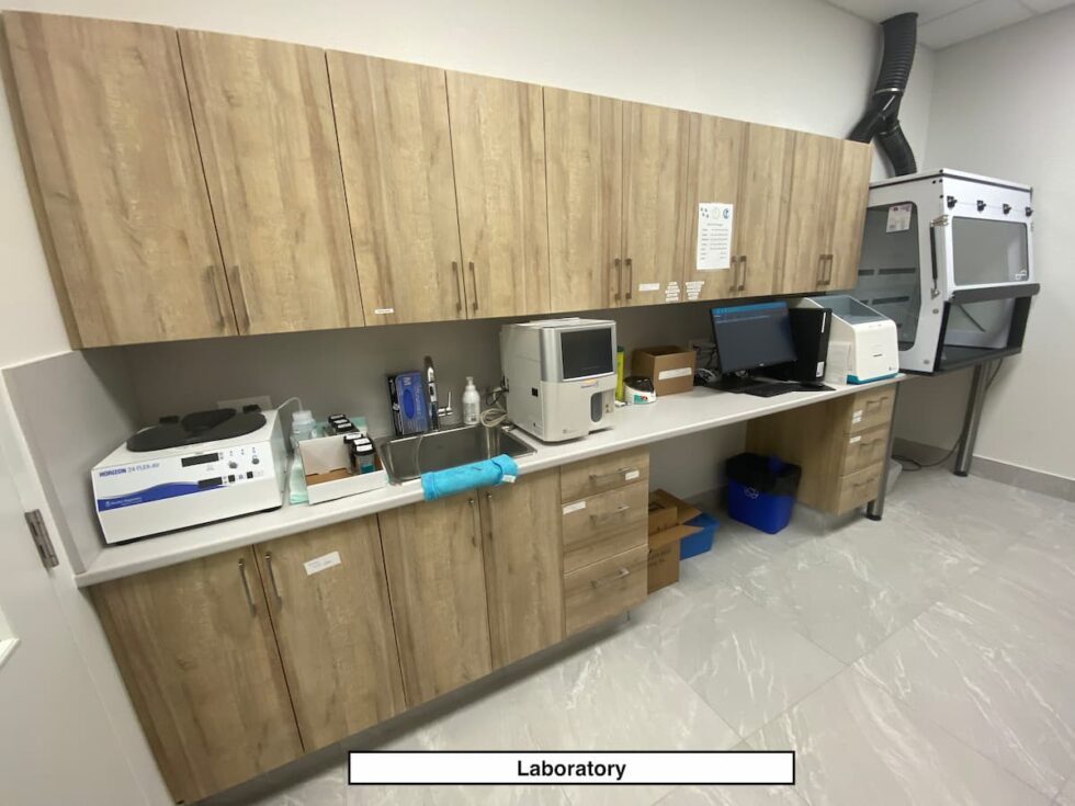 About Capital City Specialty And Emergency Animal Hospital | Vet In ...