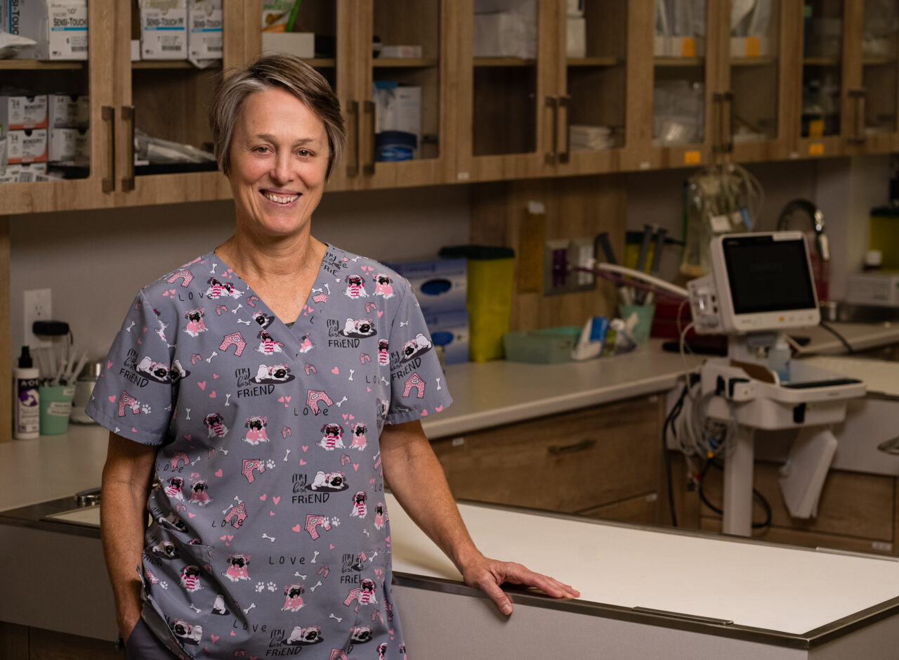 Veterinarian In Kanata, Ontario, K2V 0H2 Capital City Specialty And